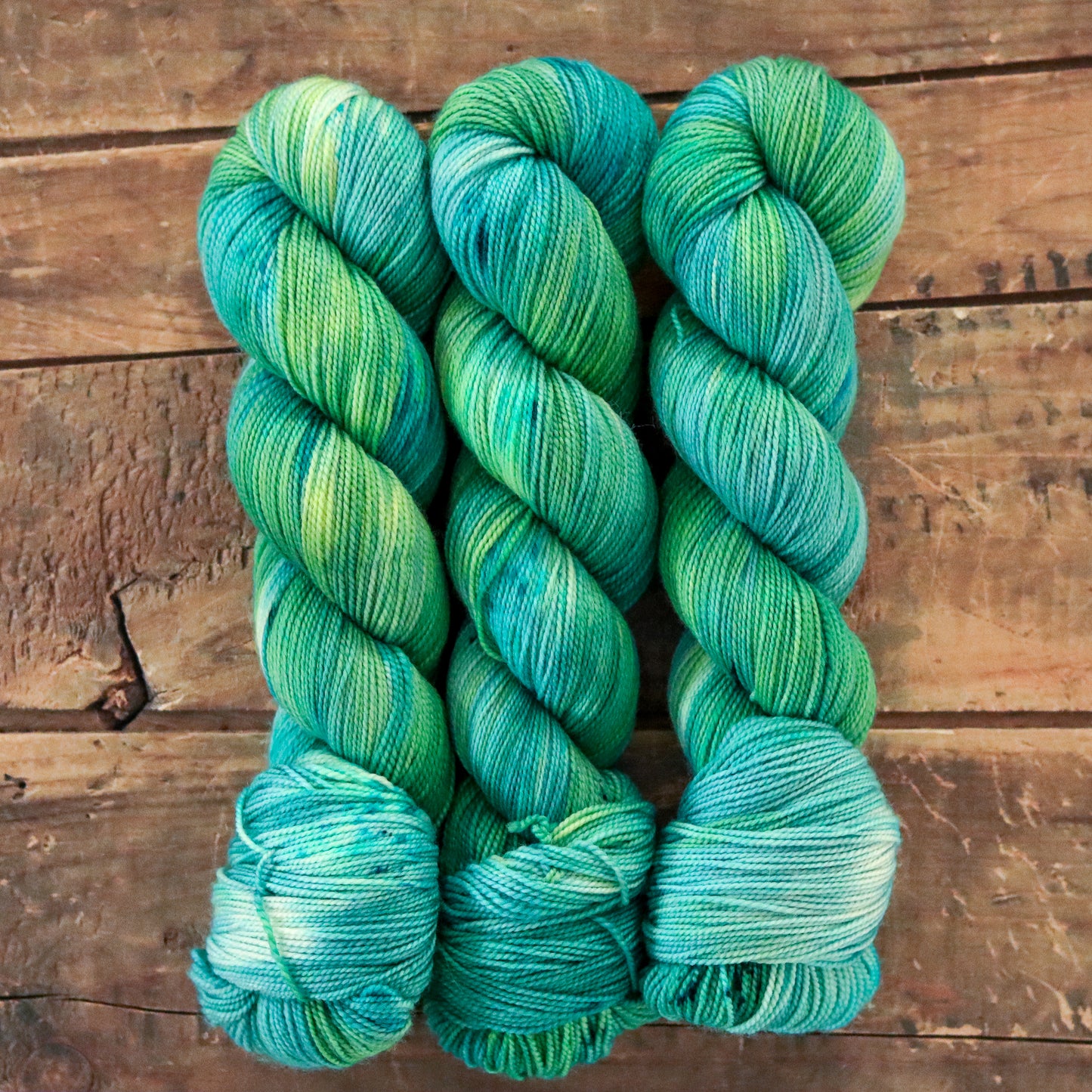 Cyanobacteria | sweet pea sock