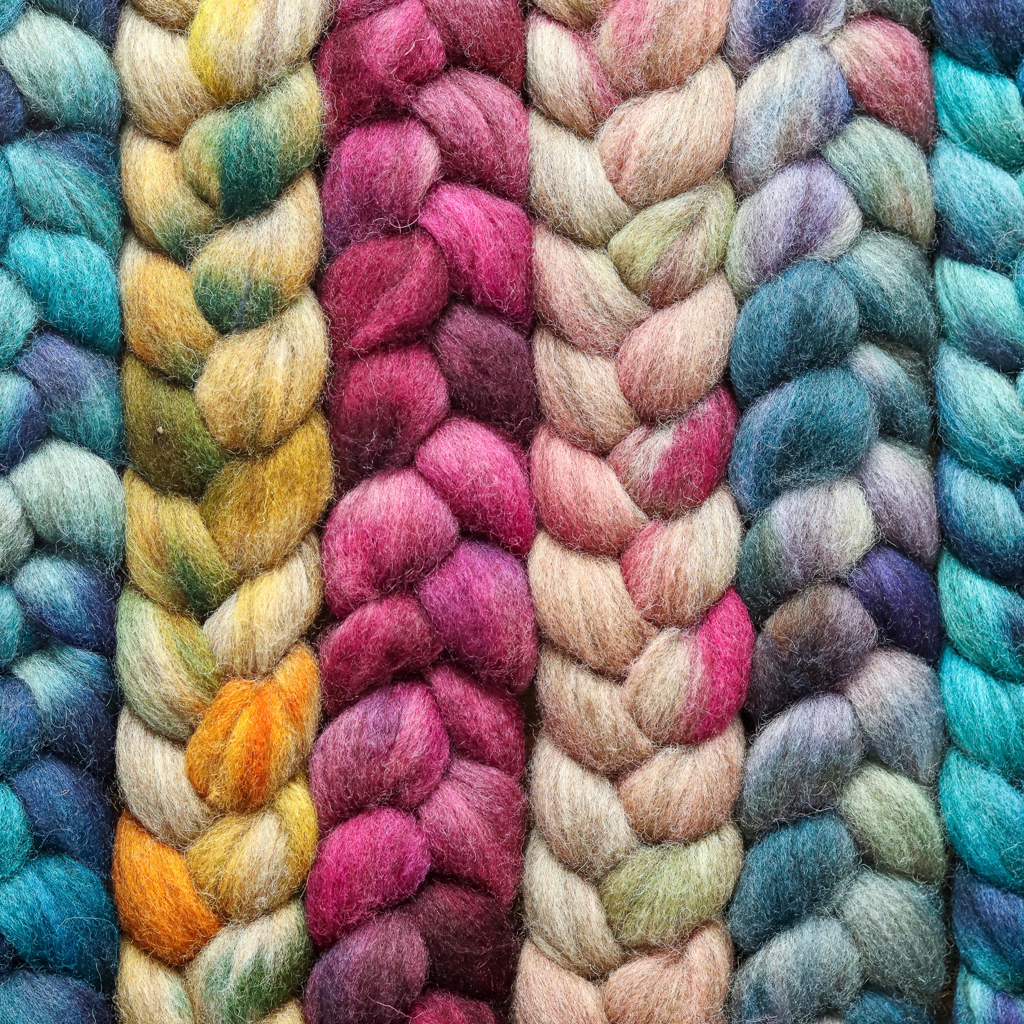 Oatmeal Bluefaced Leicester