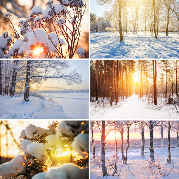 Winter Sunlight 2024 Advent Calendar