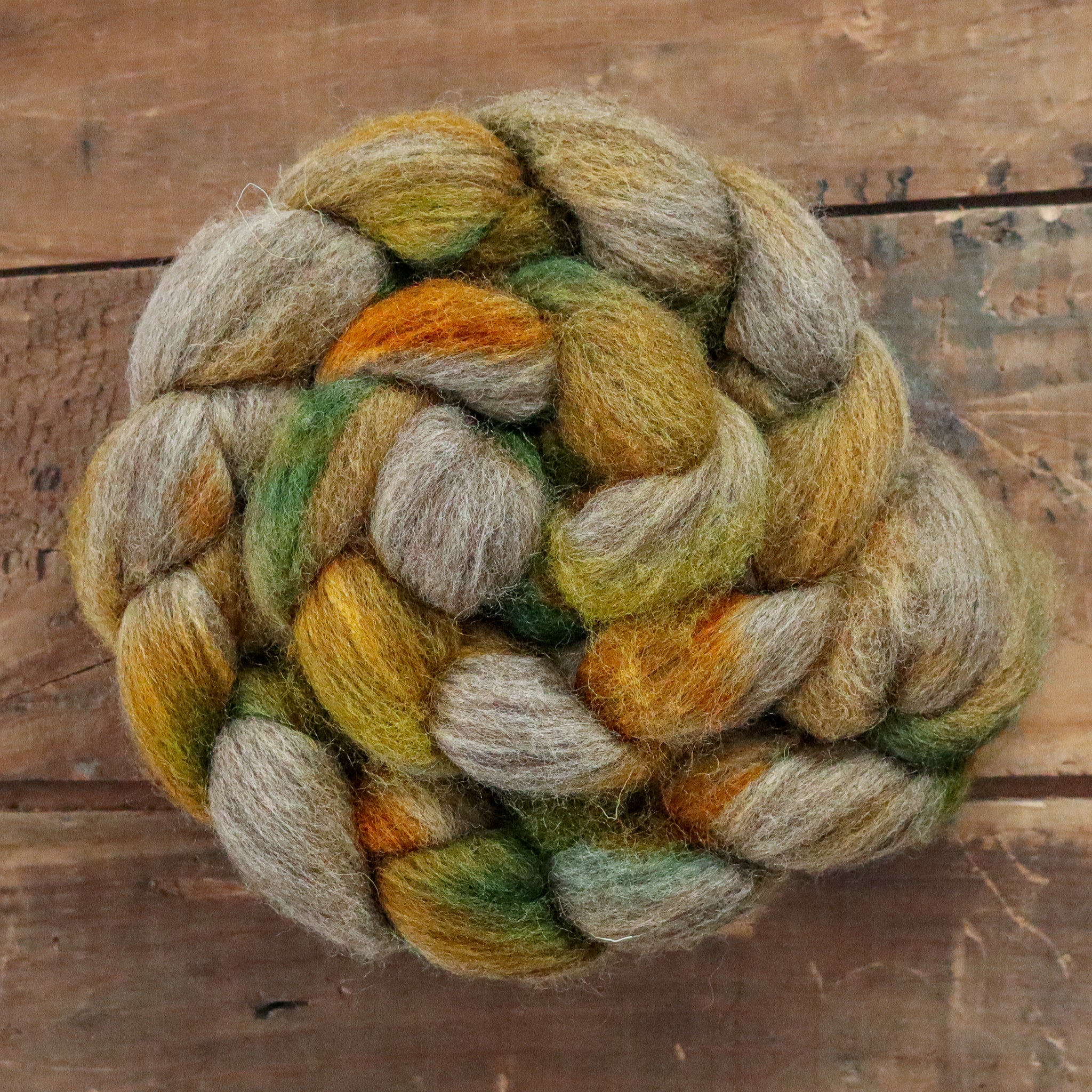 Daffodil | oatmeal bluefaced leicester