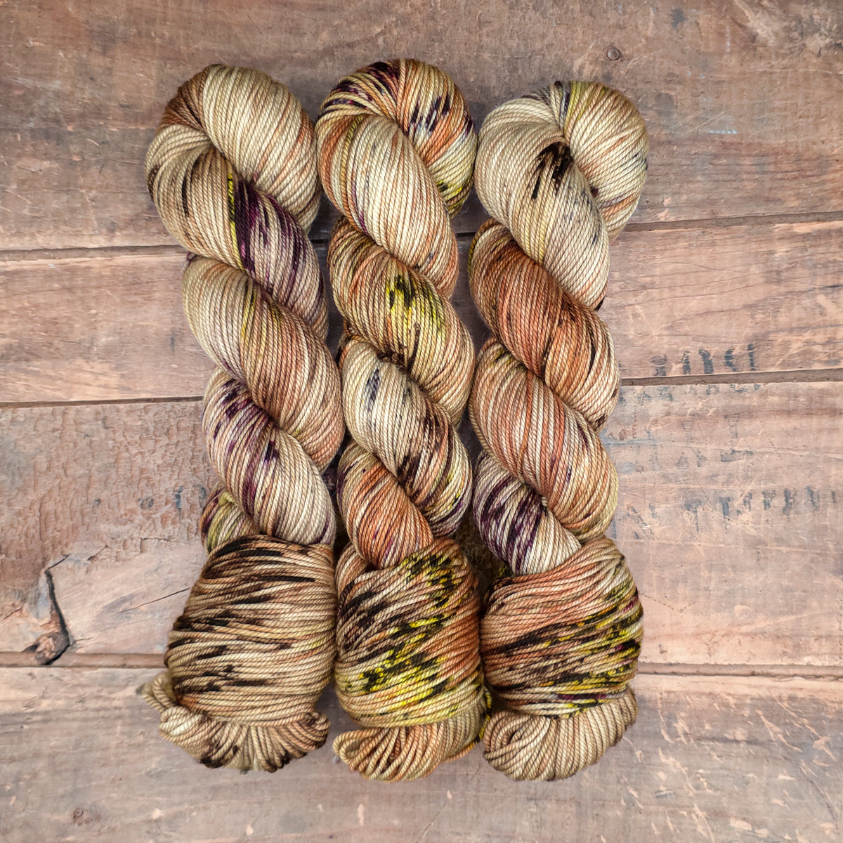 Albertosaurus | cottonwood dk
