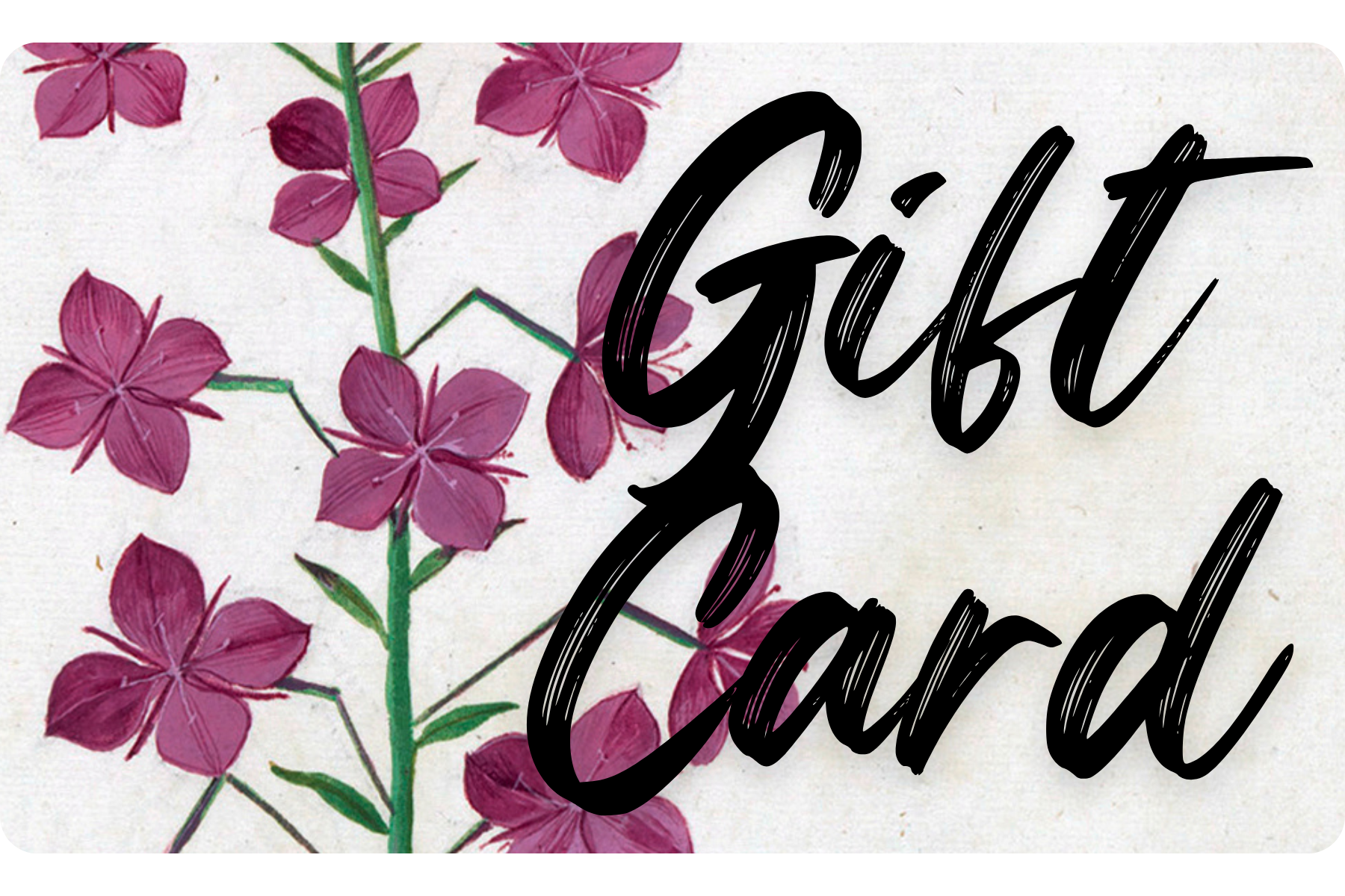 Fireweed Fibre Co Gift Card