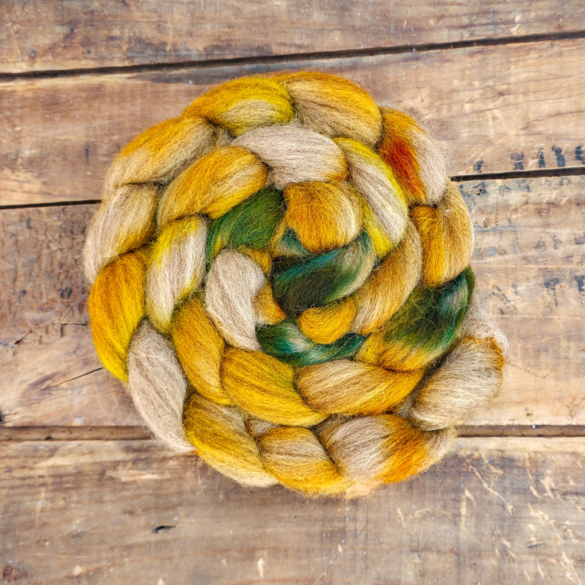 Daffodil | oatmeal bluefaced leicester