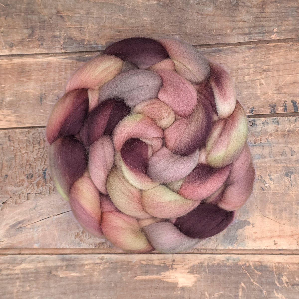 Antique Rose | polwarth