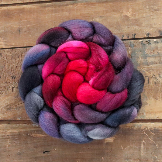 Black Tulip | polwarth