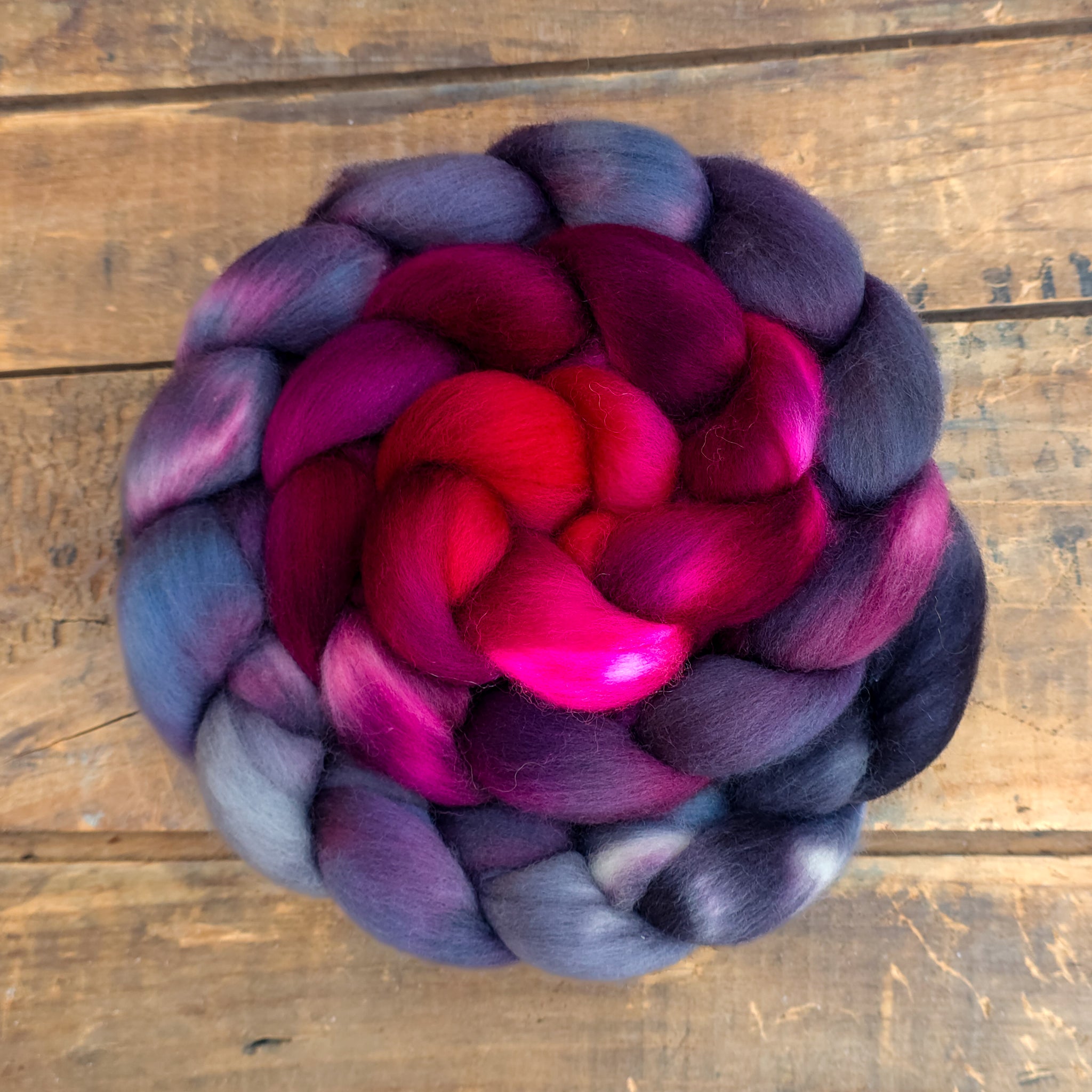 Black Tulip | polwarth