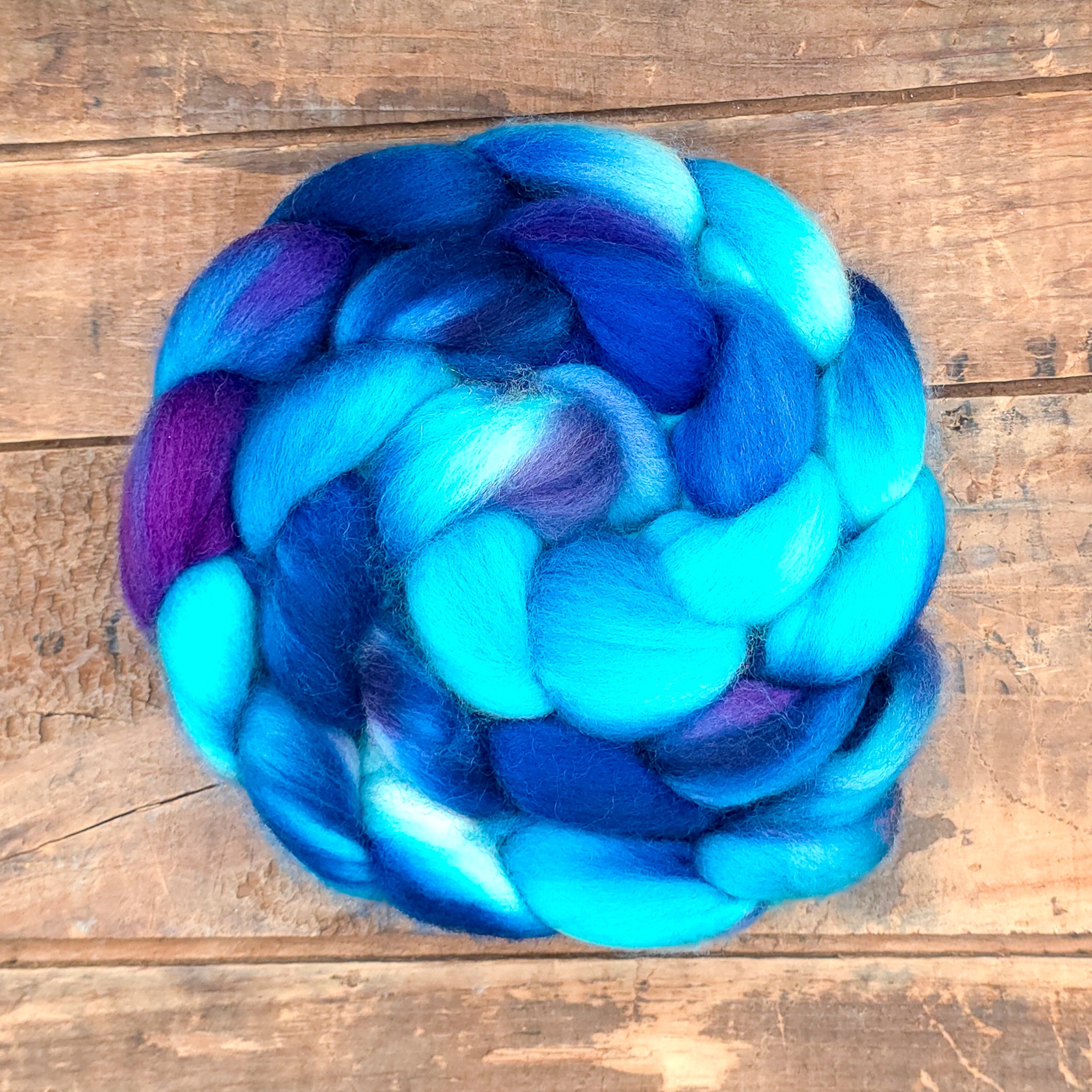 Dazzling Delphinium | polwarth
