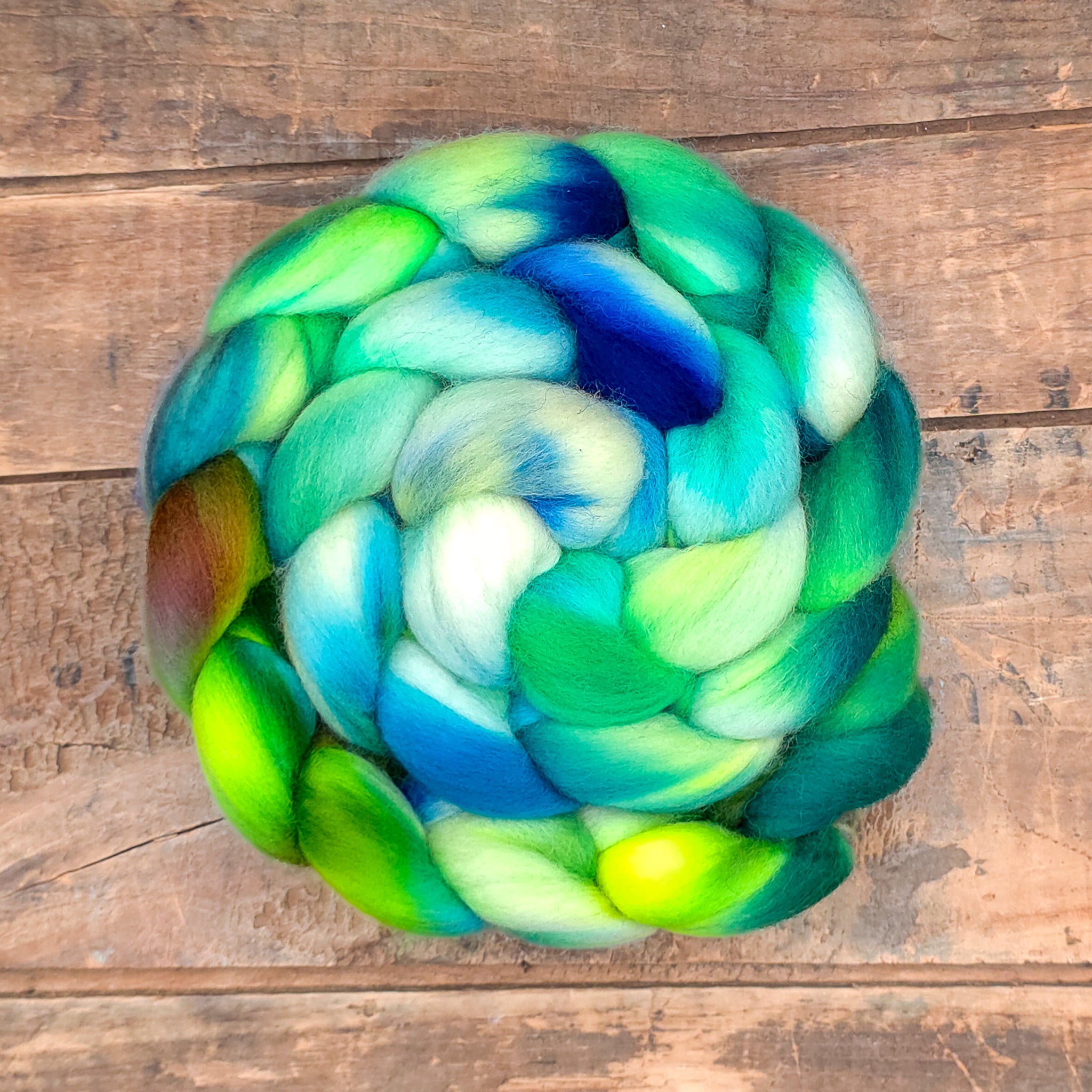 Hosta | polwarth