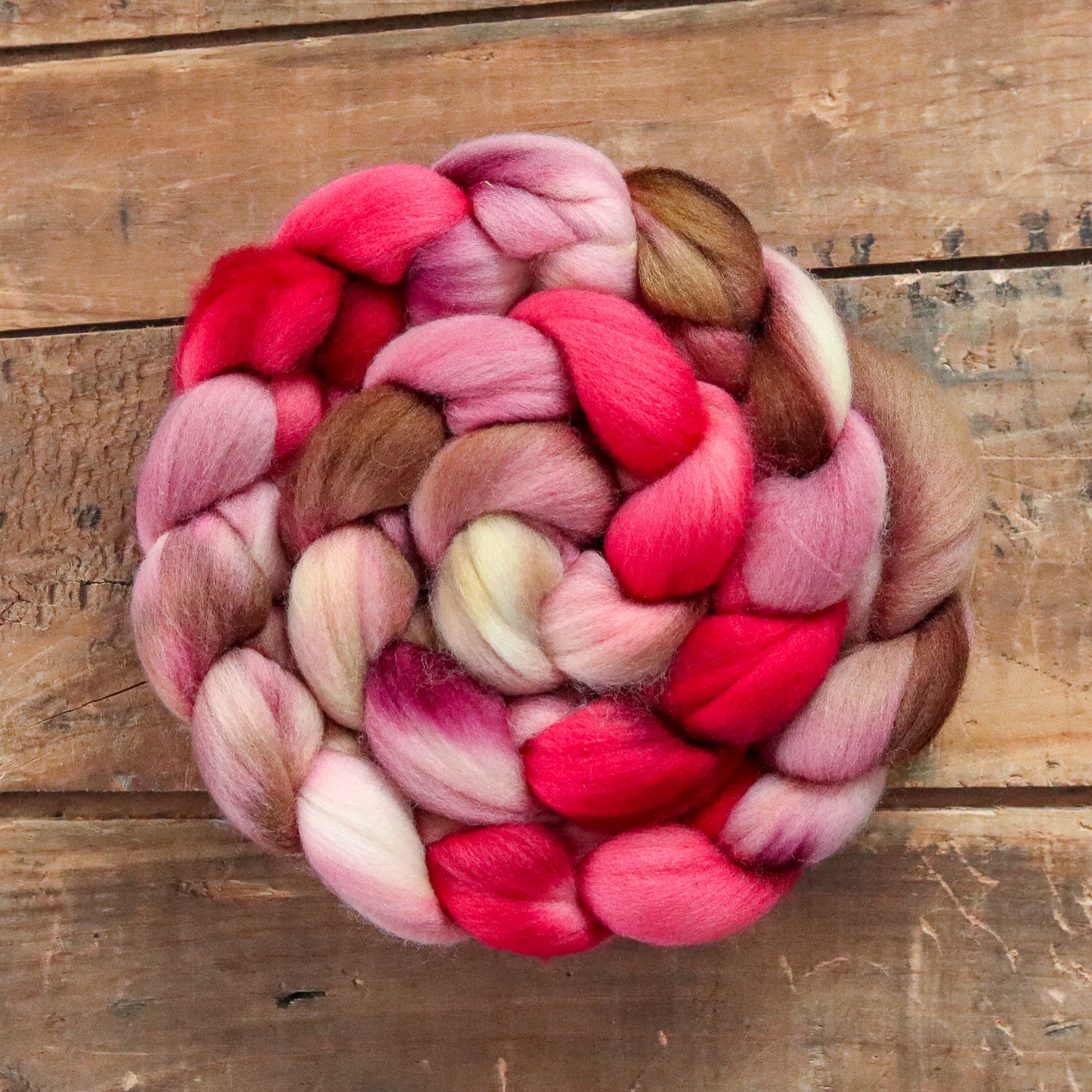 Purple Finch | polwarth