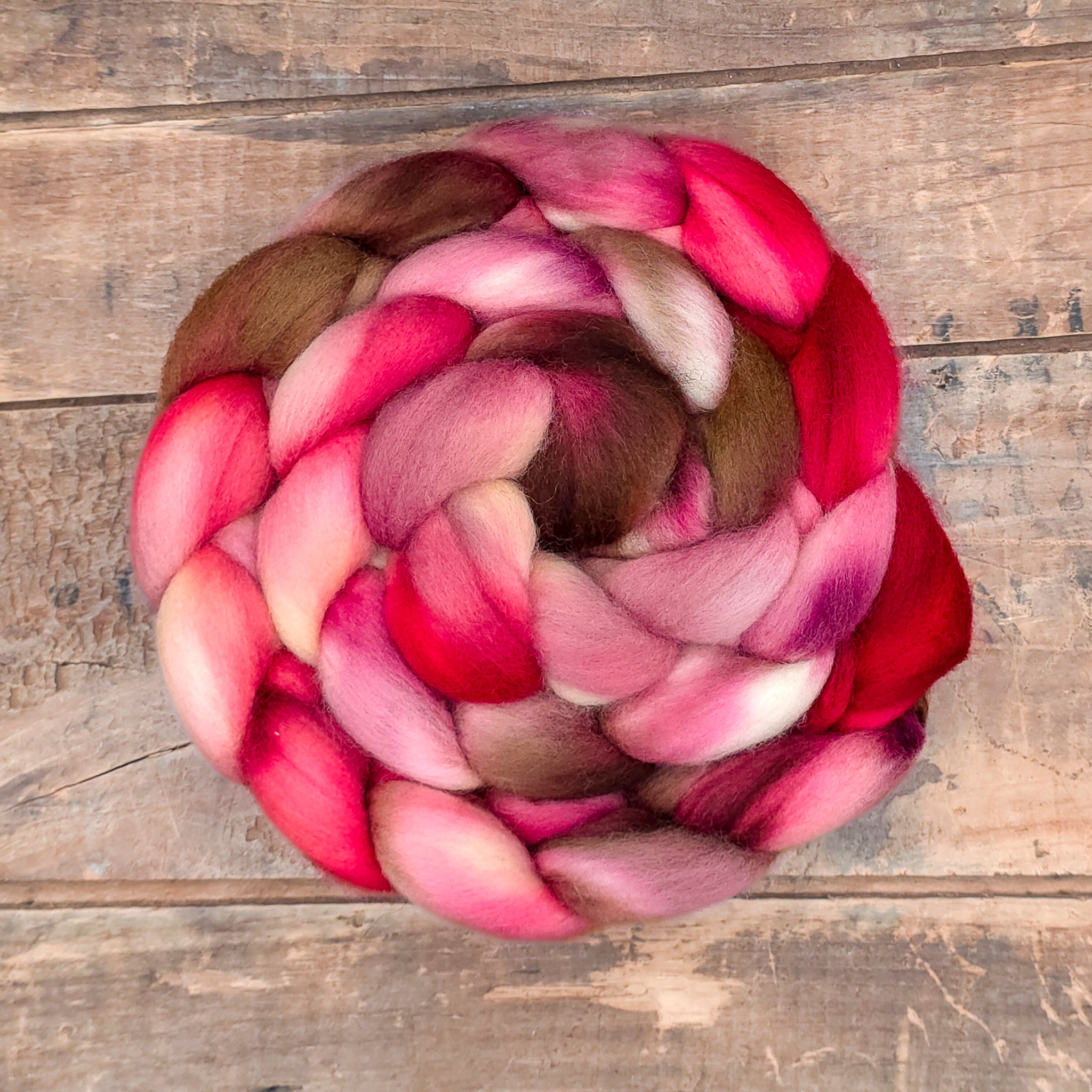 Purple Finch | polwarth