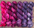 Black Tulip | sweet pea sock fade set