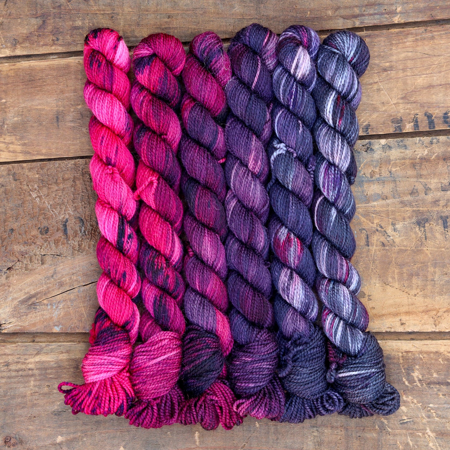 Black Tulip | sweet pea sock mini fade set