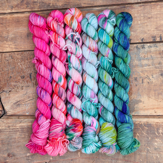 Cactus Flower | sweet pea sock mini fade set