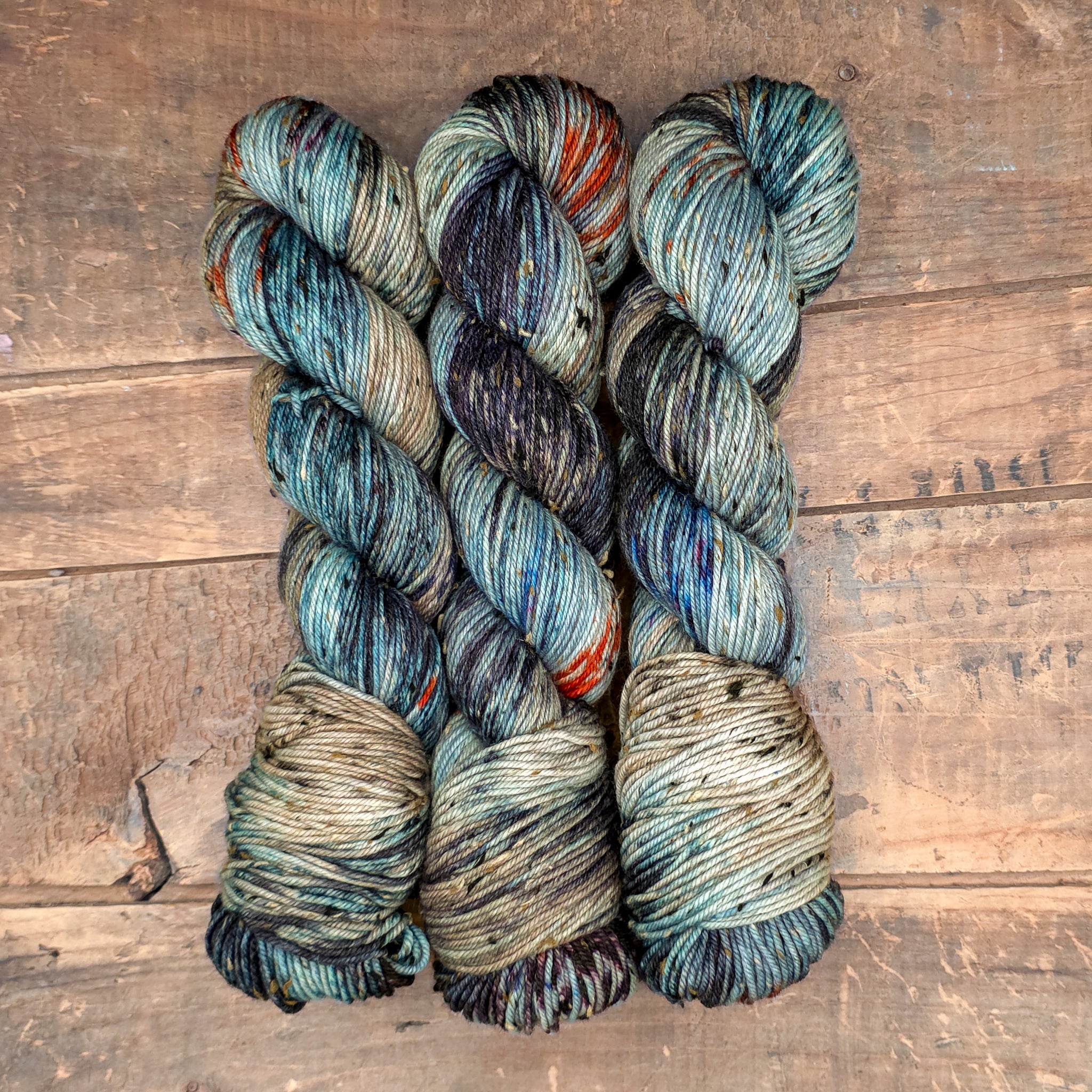 Belted Kingfisher | wood lily dk
