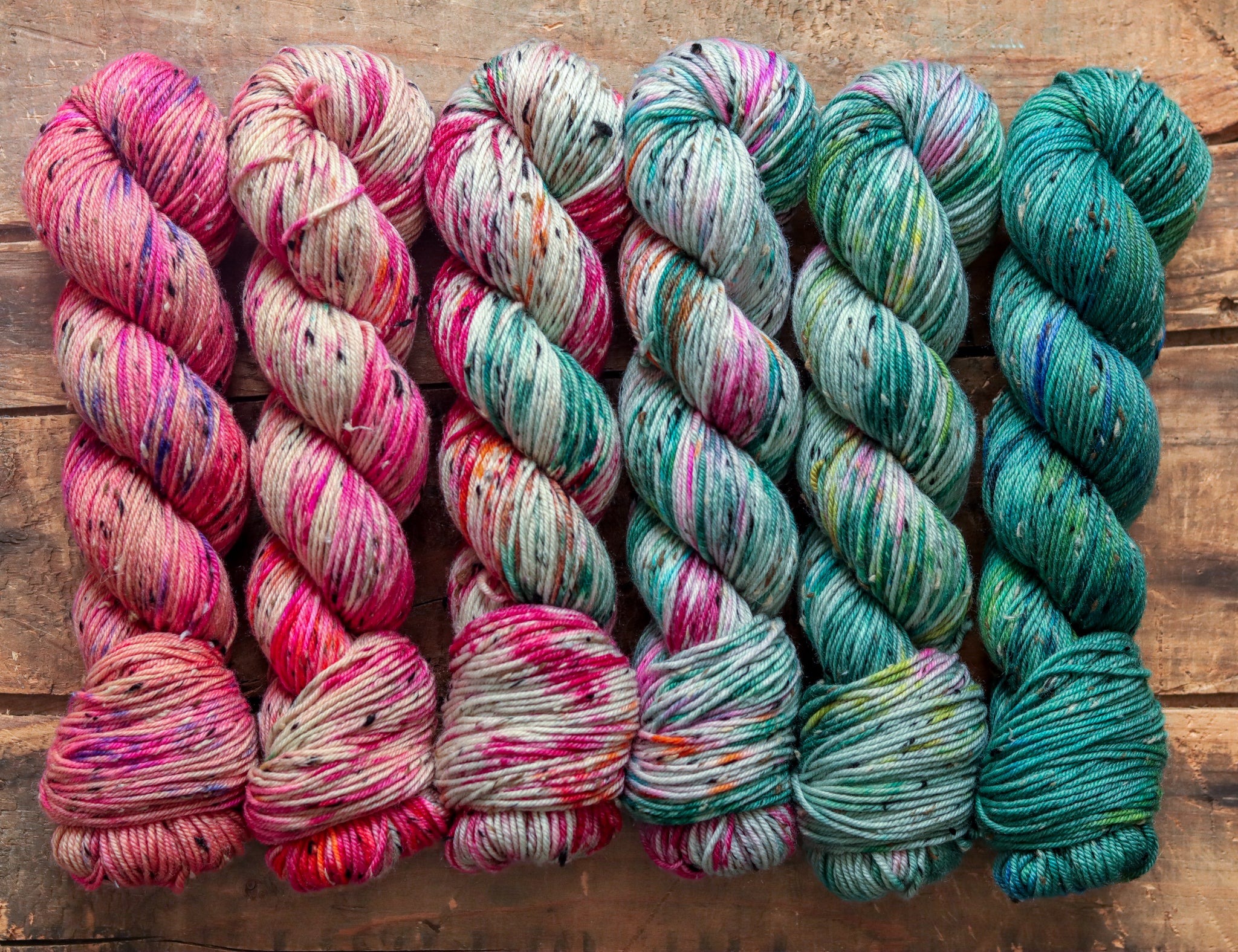 Cactus Flower | fade set